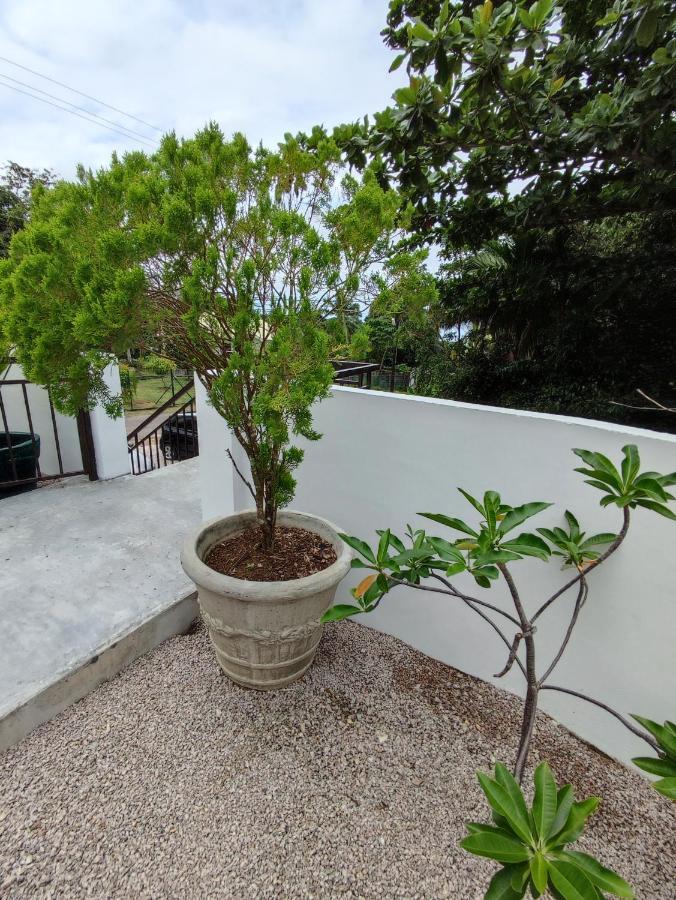 Riverside Mount Simpson Upper Beau Vallon  Exteriér fotografie